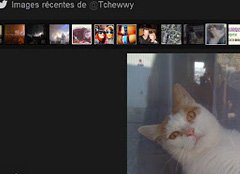 come riattivare le miniature in Twitter Twitter e le miniature