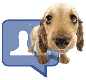 Facebook contro maltrattamenti animali