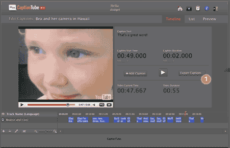 Guida su come inserire testo e audio ai video di Youtube [Video Tutorial]
