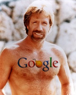 chuck-norris-virus