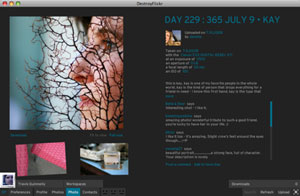 DestroyFlickr: Una fantastica applicazione Flickr AIR!