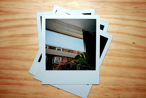 come organizzare immagini