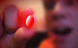 immagine project melody