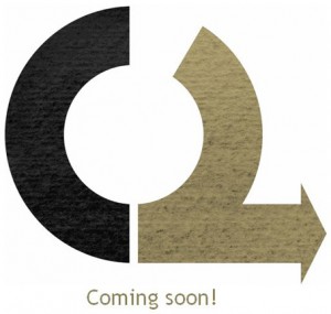 il rivale di wikileaks