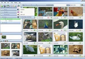 Foto per siti e spazi web in un click!