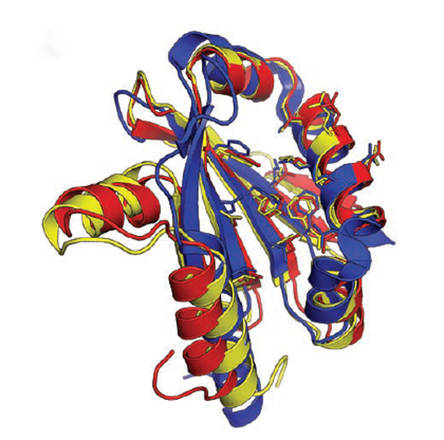 Tramite un Videogame si scopre una proteina