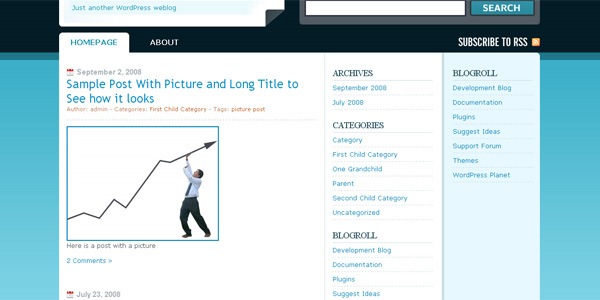 publicizer-wordpress-theme