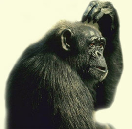 Leggere il pensiero degli altri? E' possibile... Leggere il pensiero degli altri? E' possibile...