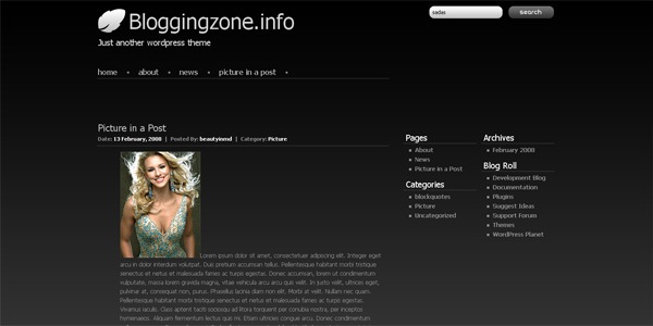 silver-wordpress-theme