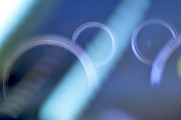 Come eseguire velocità di connessione