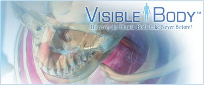 VisibleBody: applicazione anatomicamente perfetta!