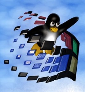 win_tux-277x300