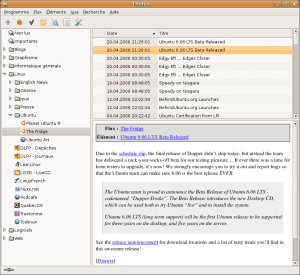 Lettore Feed Rss per Linux